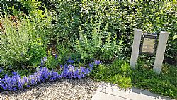 Beplantingsplan voorbeeld voor romantische tuin.