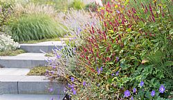 Tuin zonder schutting